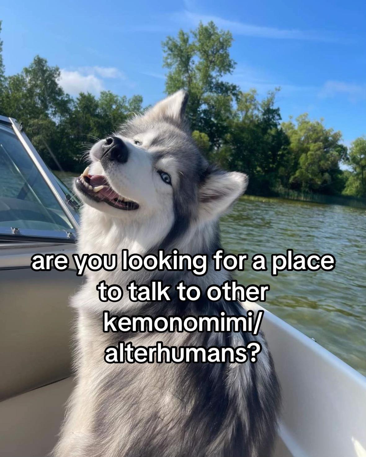 @ako/az🐾