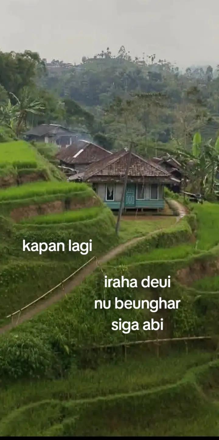 @wawedang