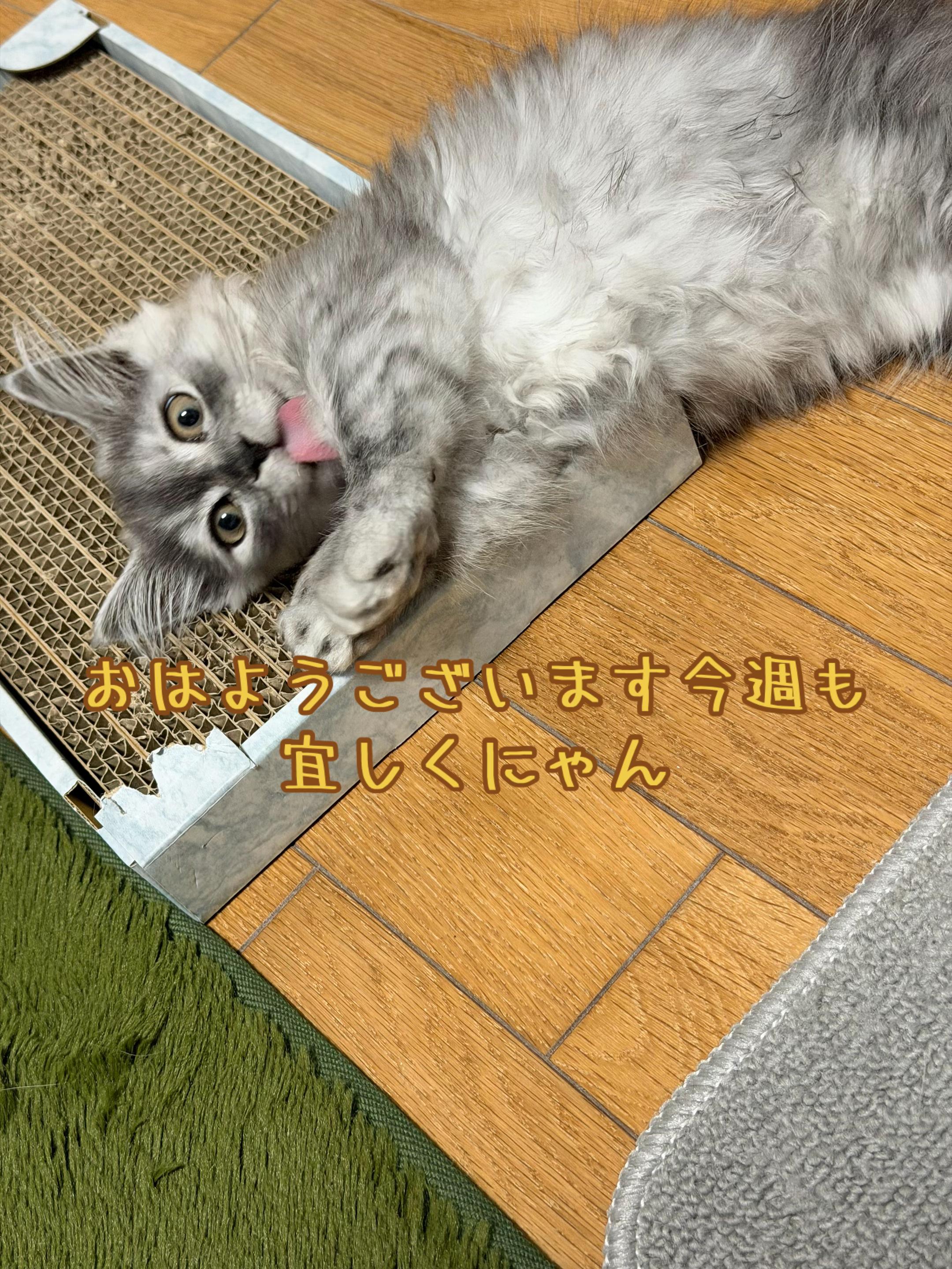 @ð¥é»æŸ€æ£å¿ð¥