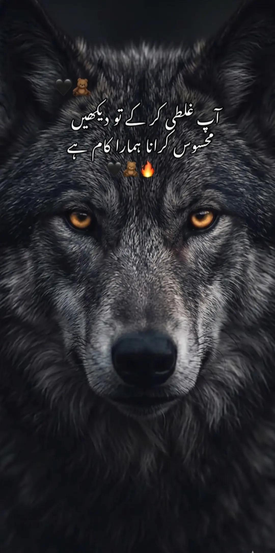 @Syed