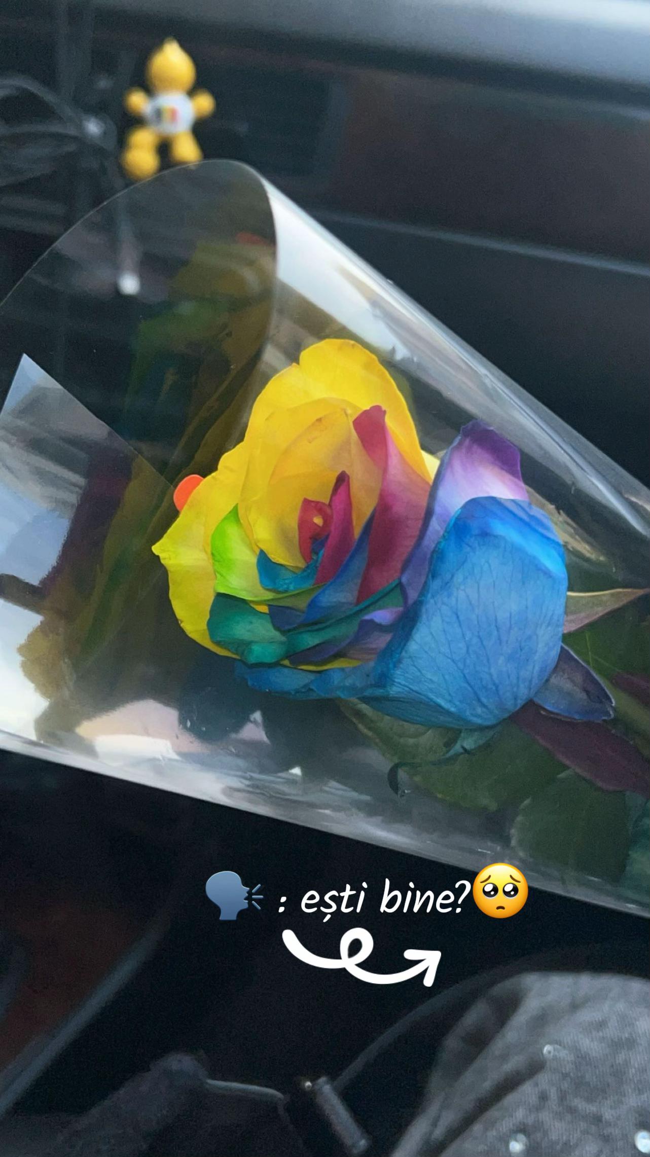 @catalina_ddy🤯❤