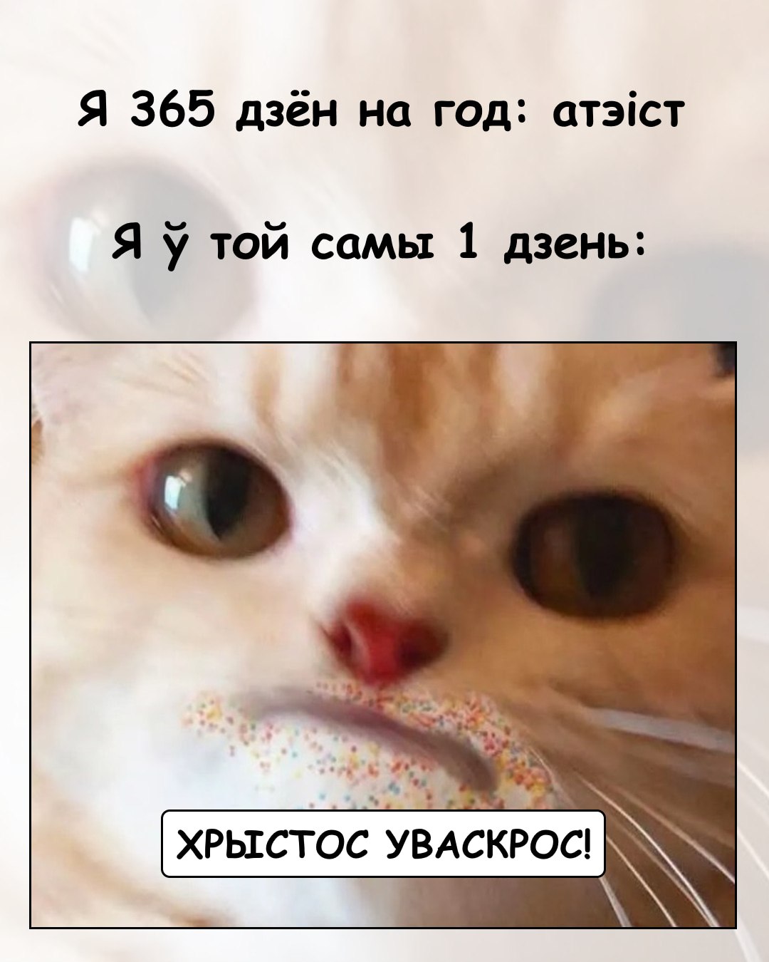 @Металічны Барсік