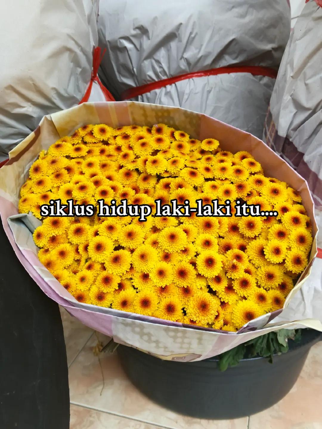 @๐๐๐ค๐๐ซ ๐๐๐ง๐ฃ๐
