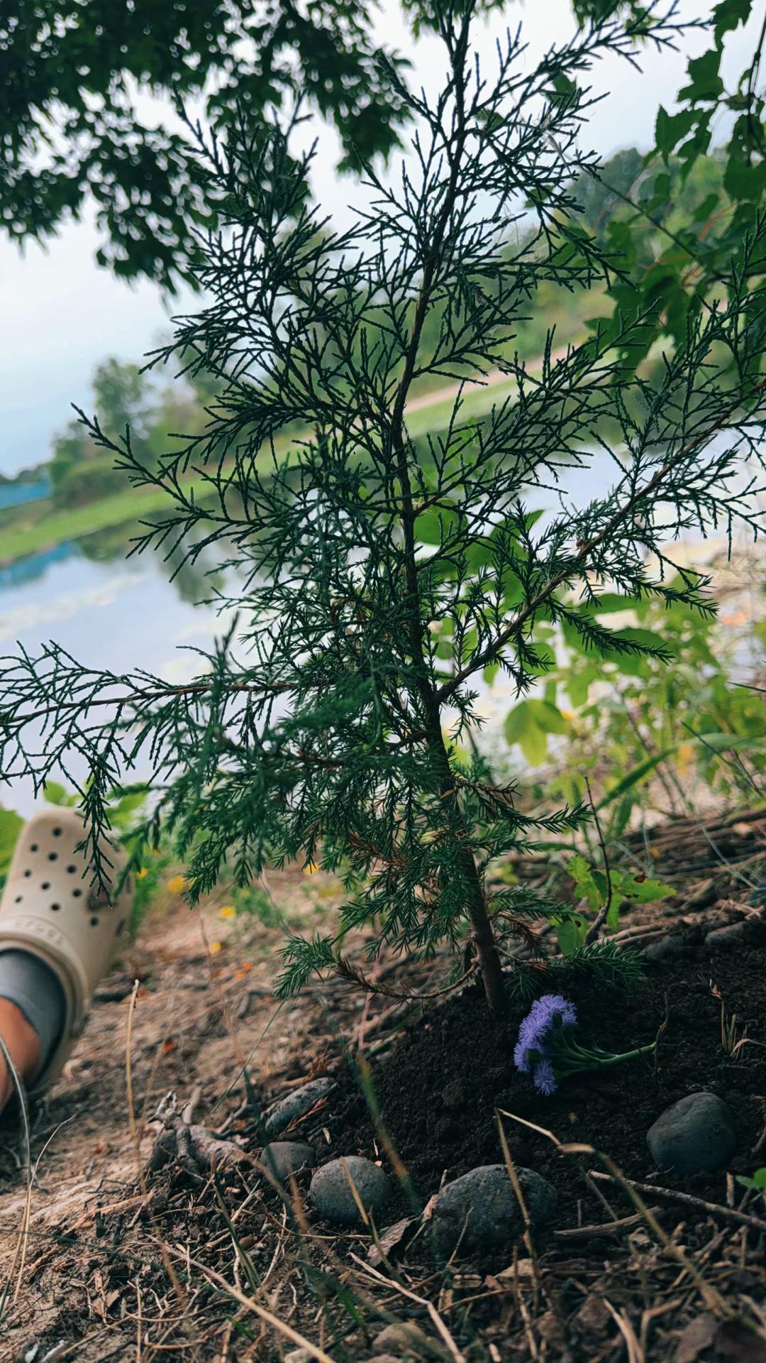 @འօʂìҽ🦋