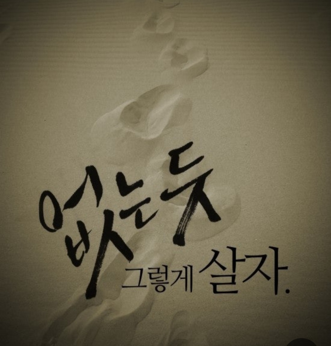 @쑥부쟁이