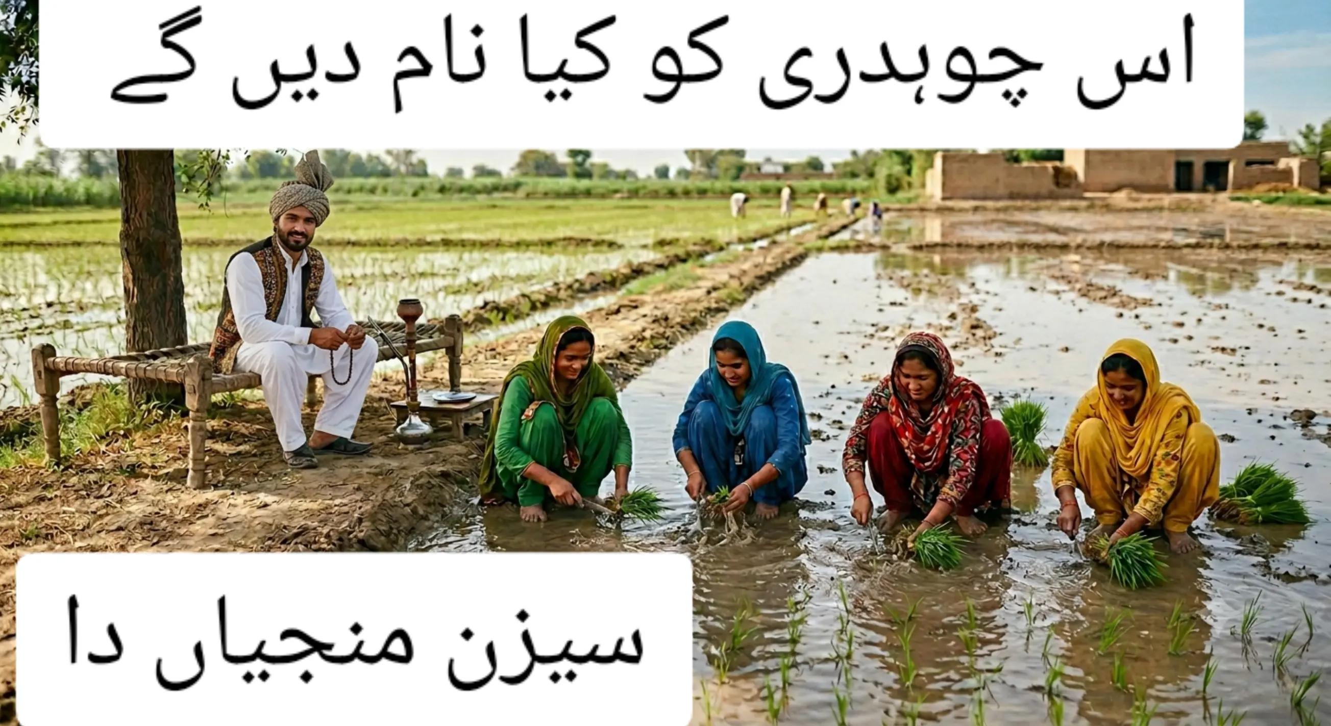 @چوہدری طاہر سنگوکا💜