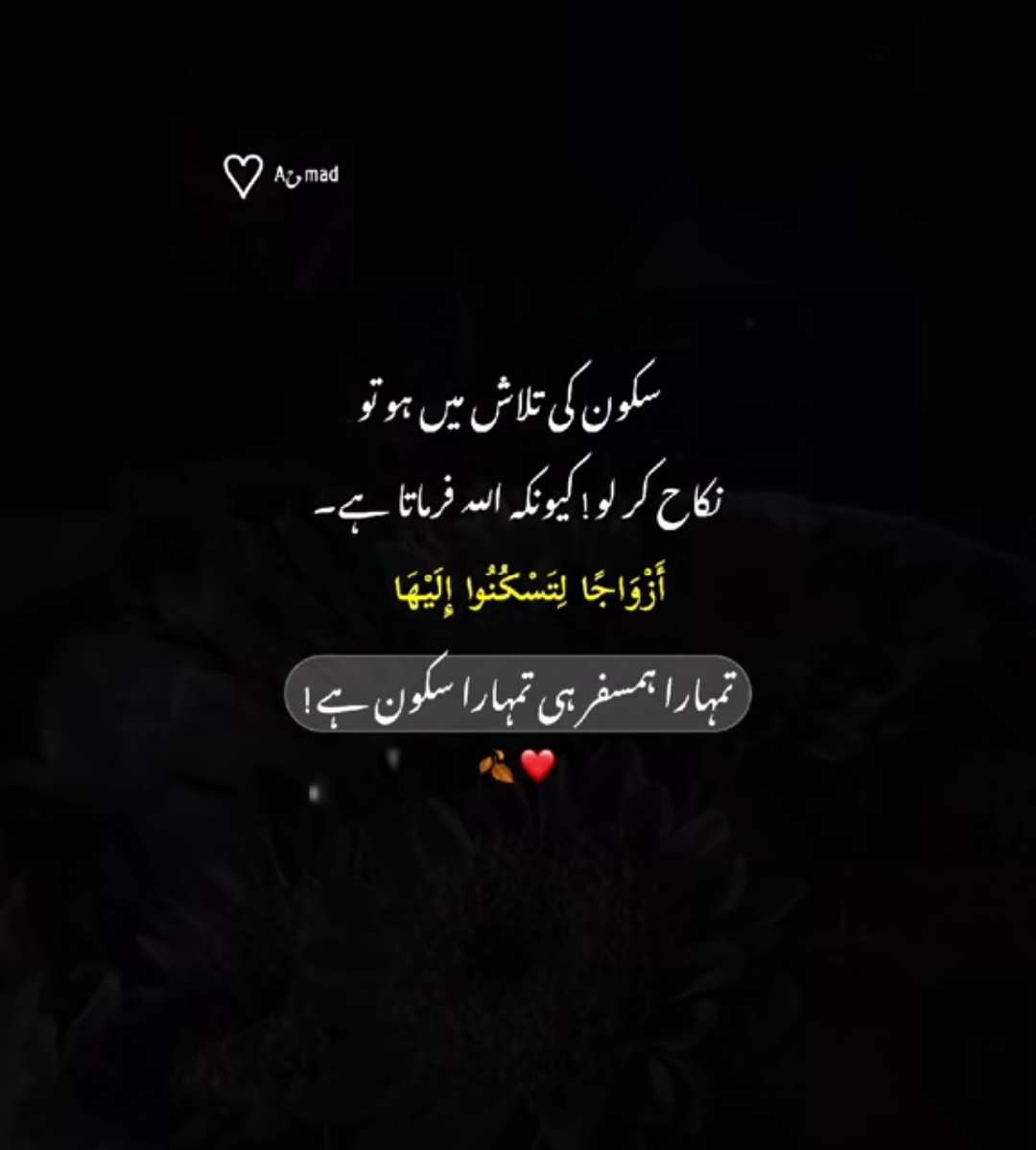 @HAIDER 07