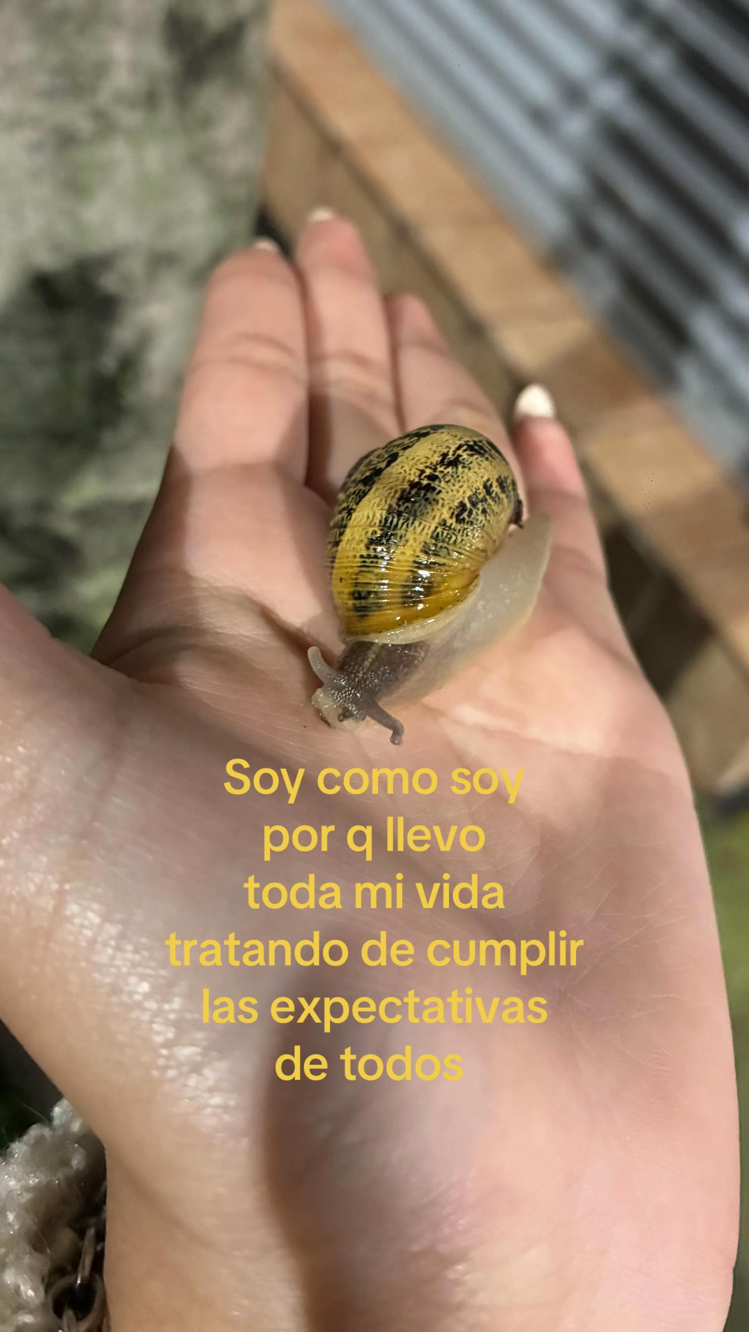 @๐