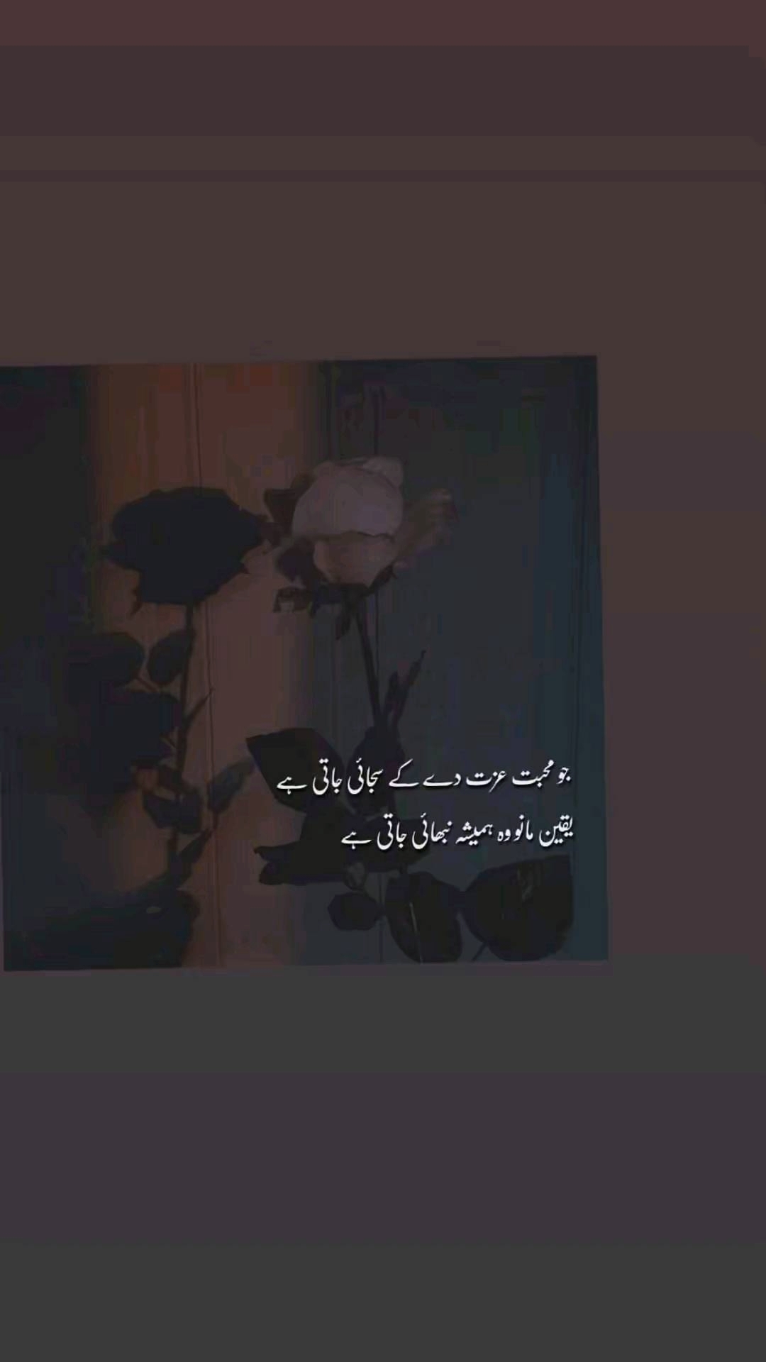 @چوہدری کوٹلے آلے🙃