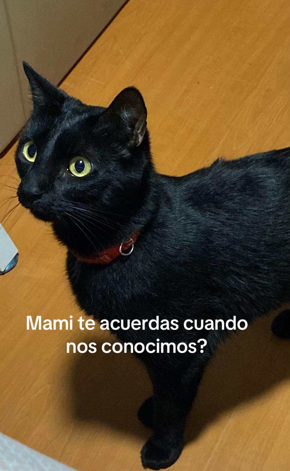 @Carolina Hinojosa