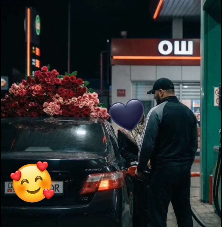 @🐬