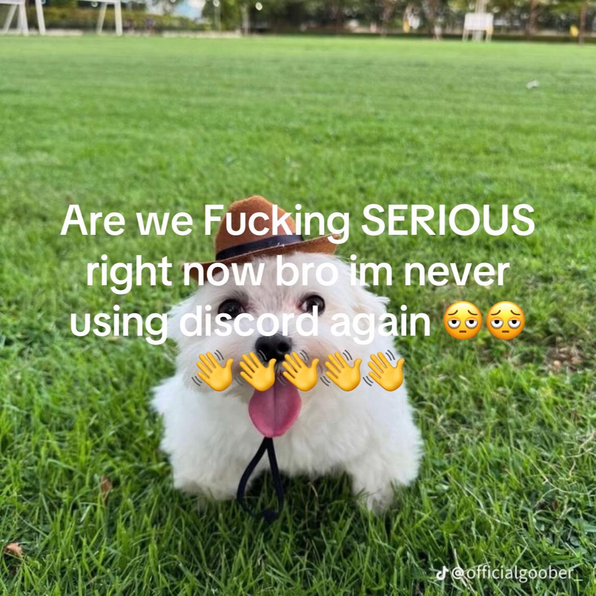 @Alan ☆彡♾️🔃 /♾️💙ミ