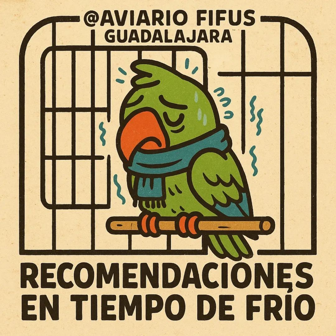 @Aviario FIFUS Guadalajara