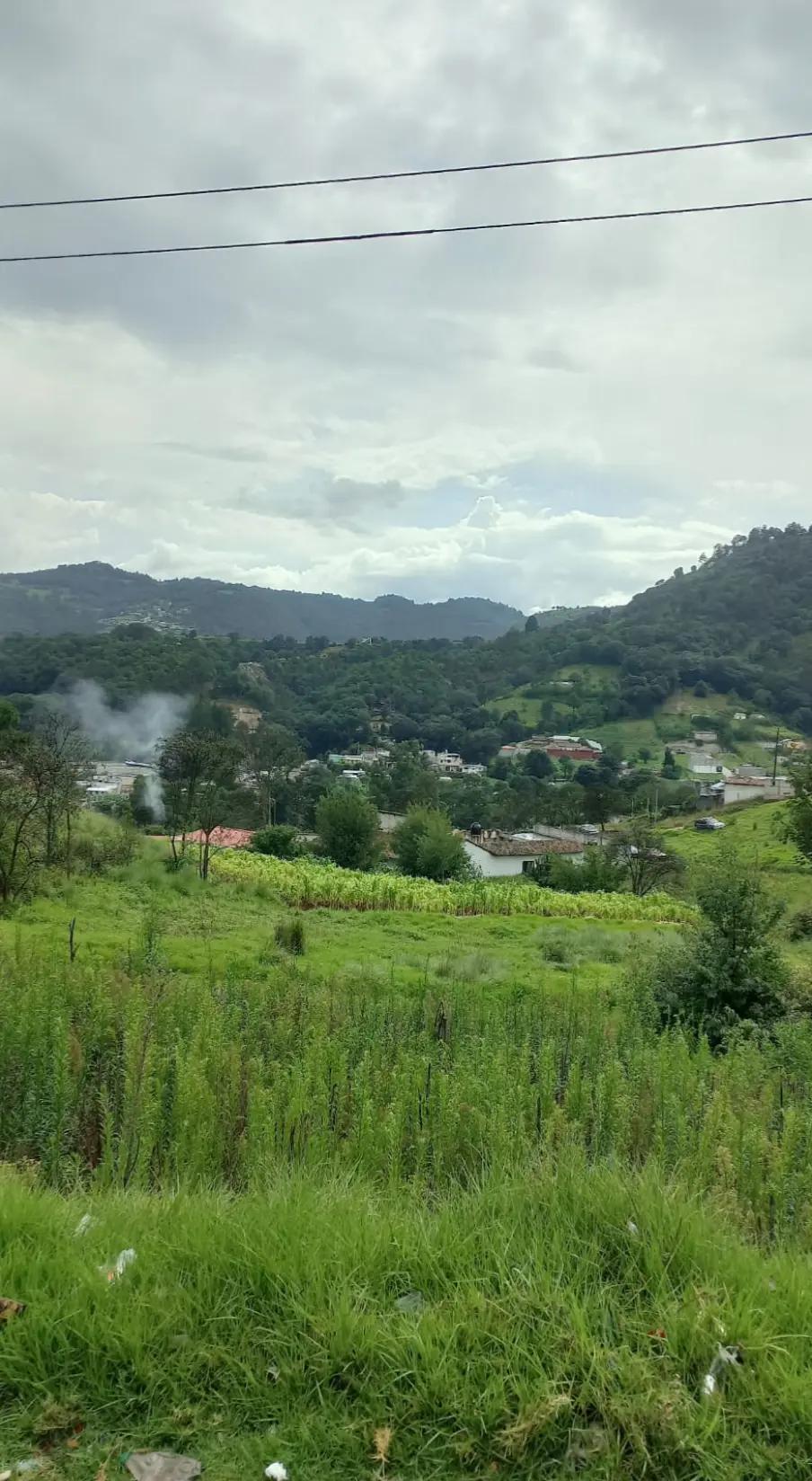 @Vicente Vicente