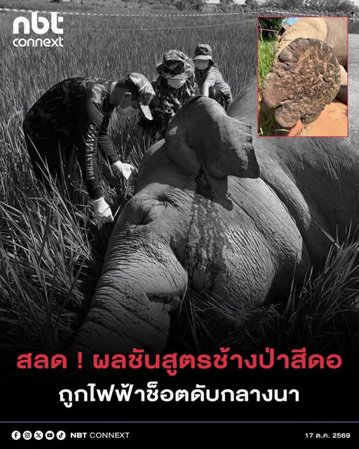 @° หมานิ้ง °