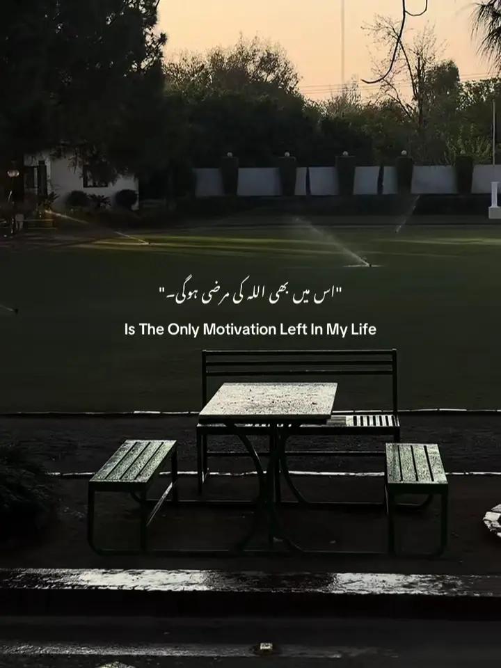 @𝑯𝒂ل𝒂𝒍_𝑫𝒖ڈ𝒆🕋🫠🌸