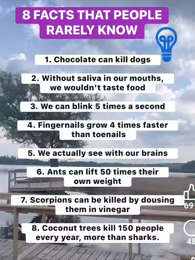 @Dr.domaalynd0