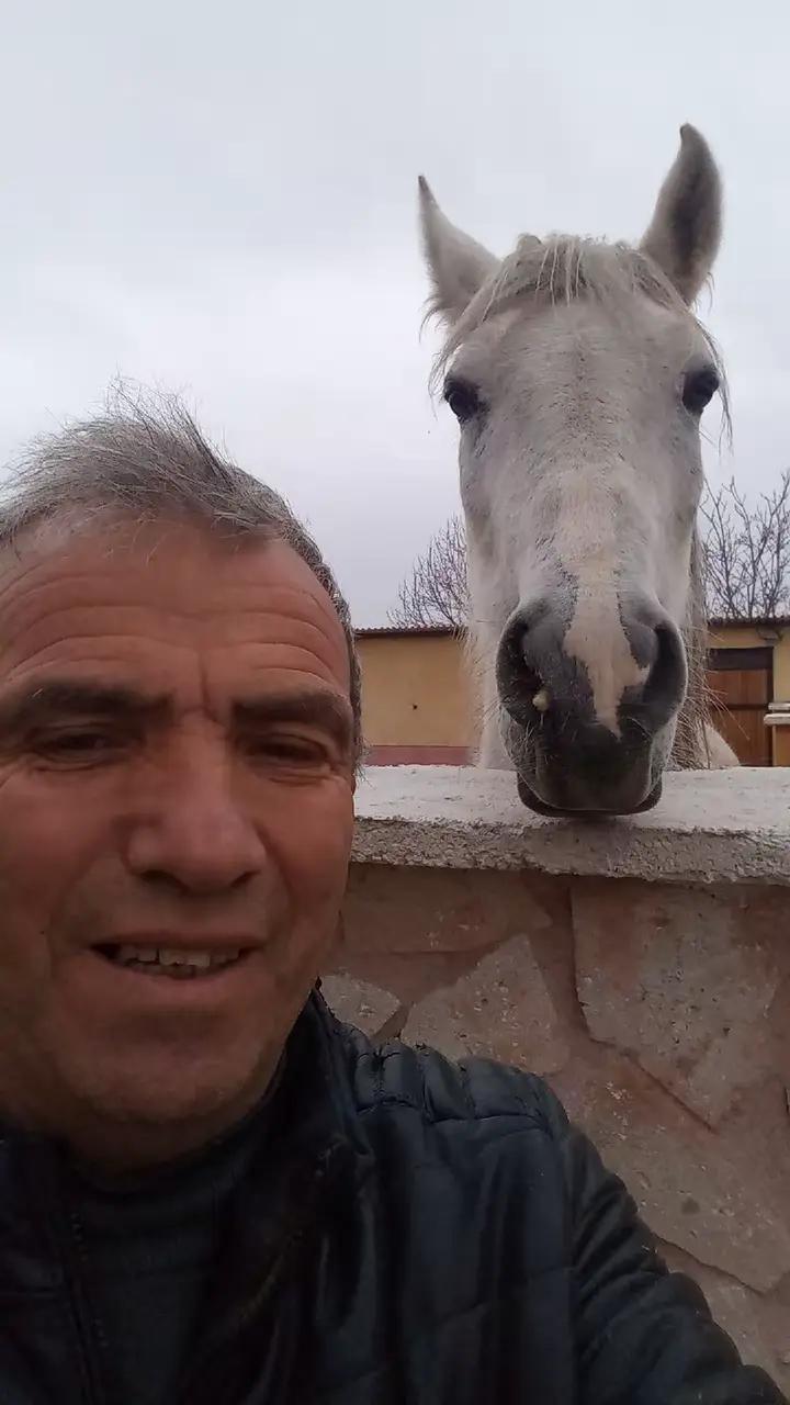 @kayaahmet50