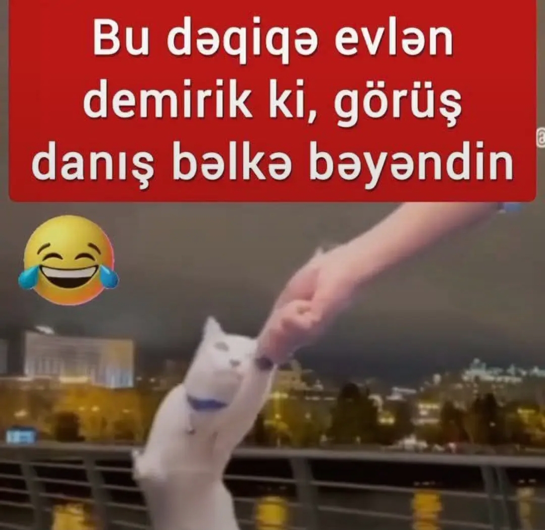 @aydin