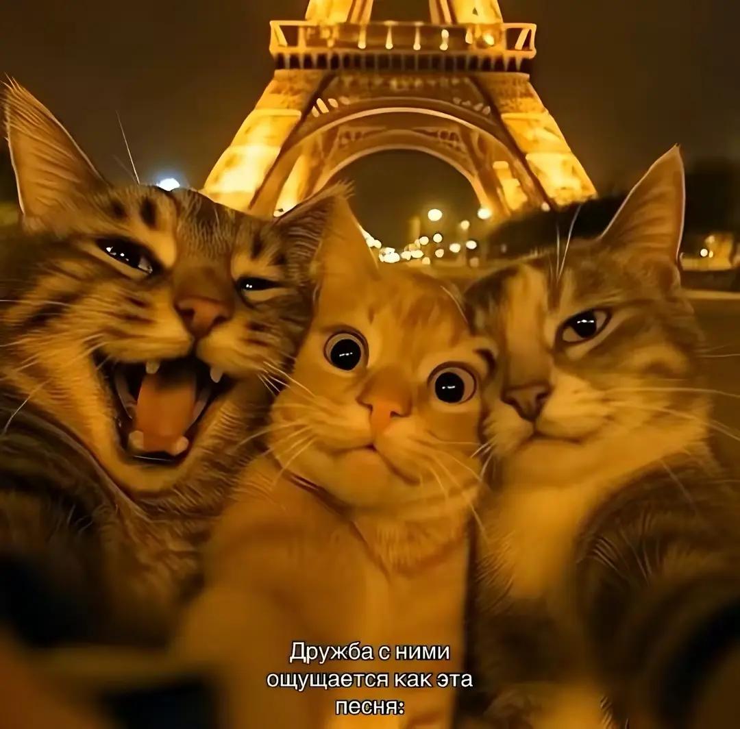 @Мотя😜