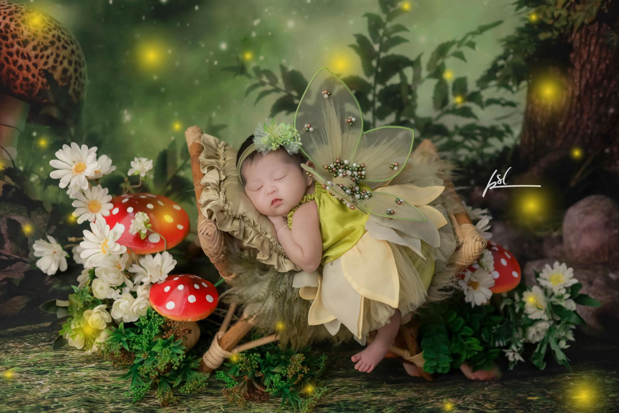 @菲菲𝓿𝓮𝓿𝓮