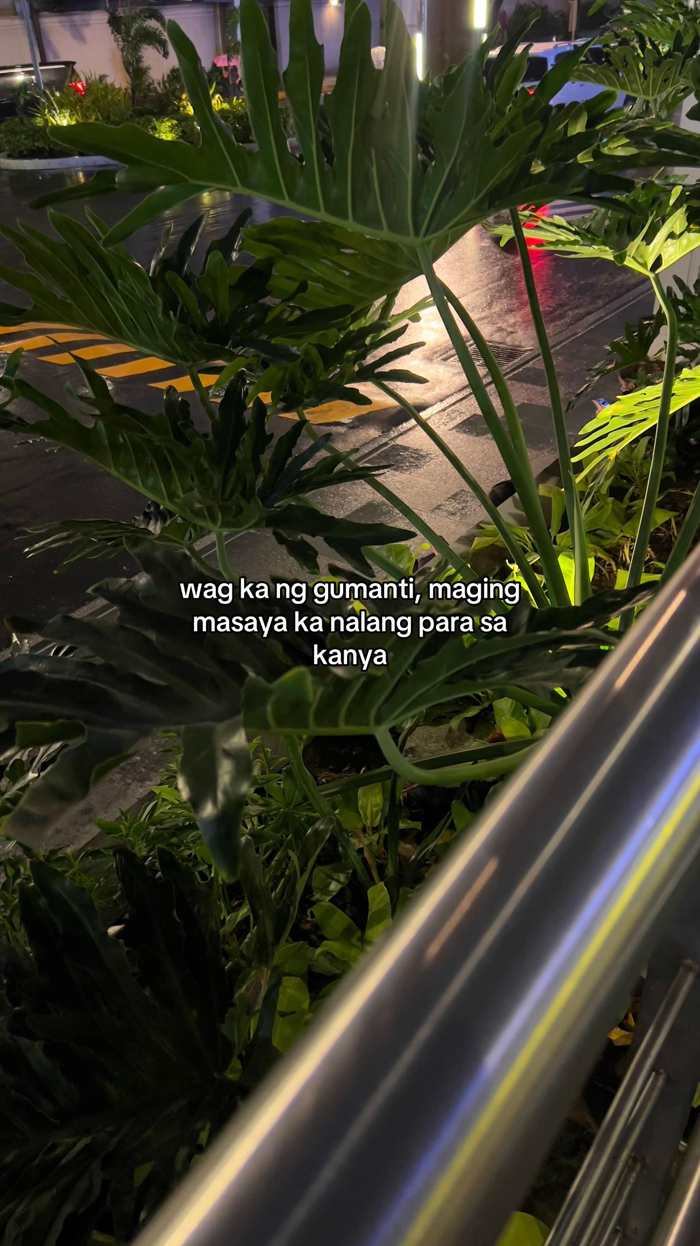 @Xel
