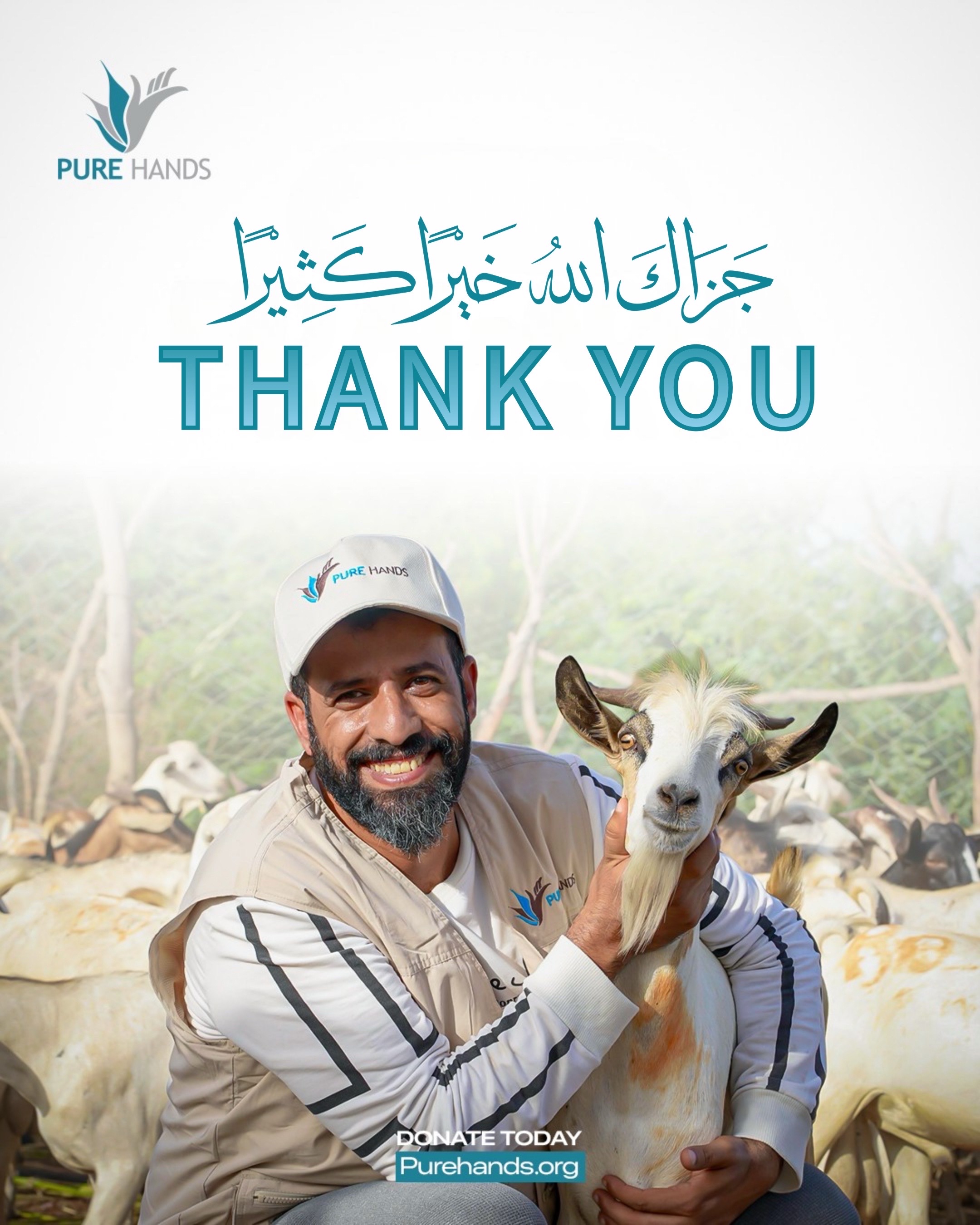 @Pure Hands