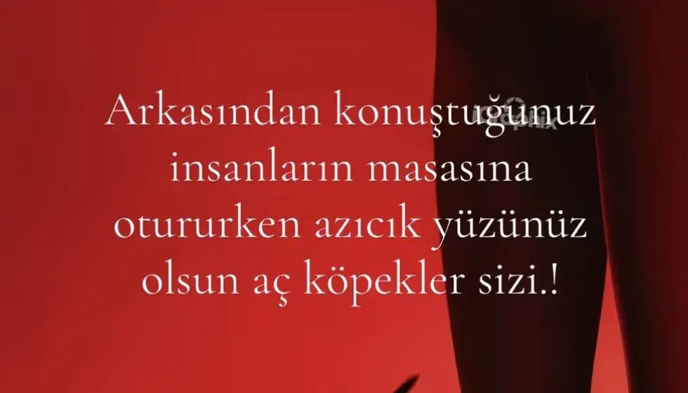 @Güler Deniz