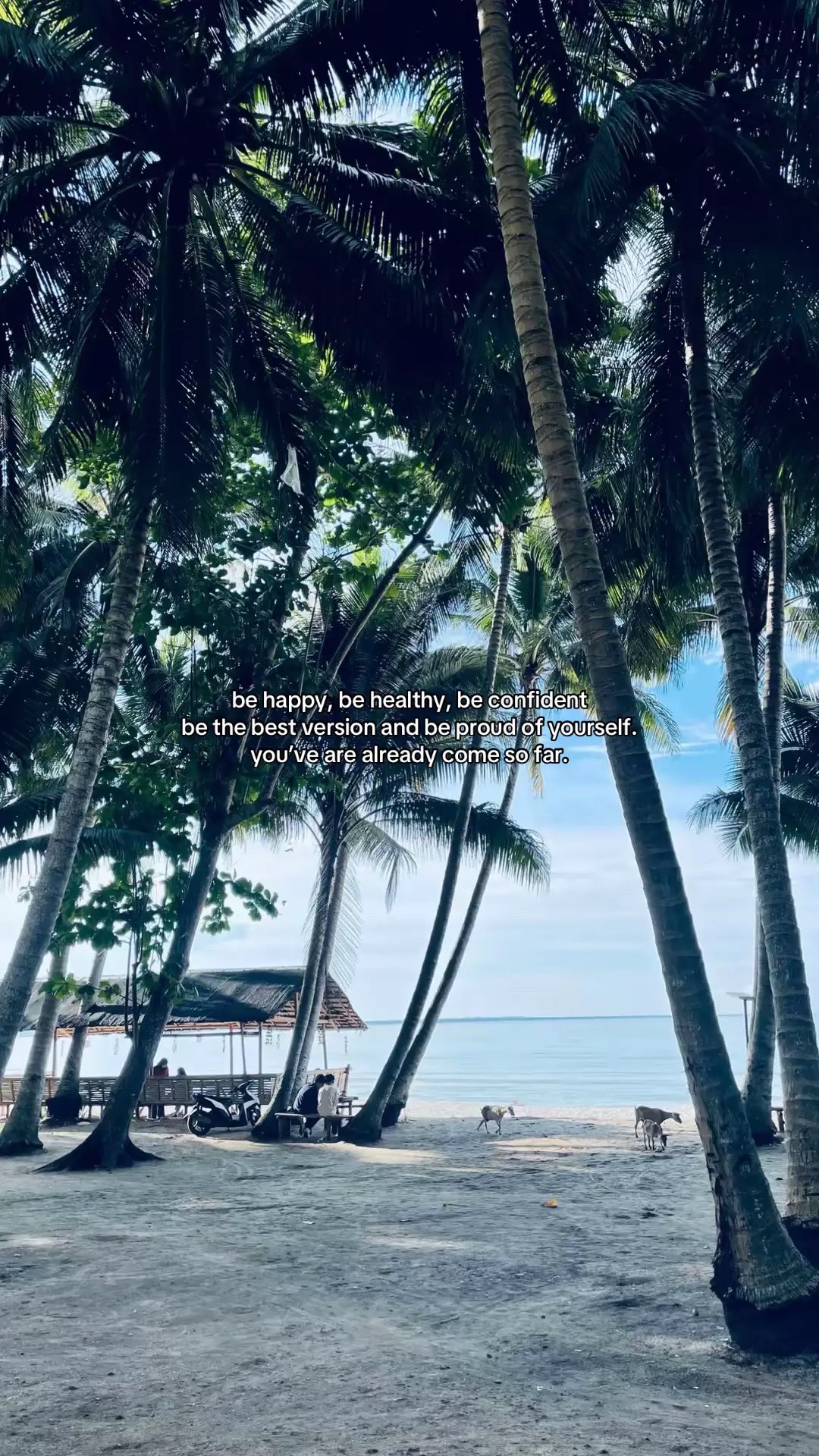 @𝑵✝️