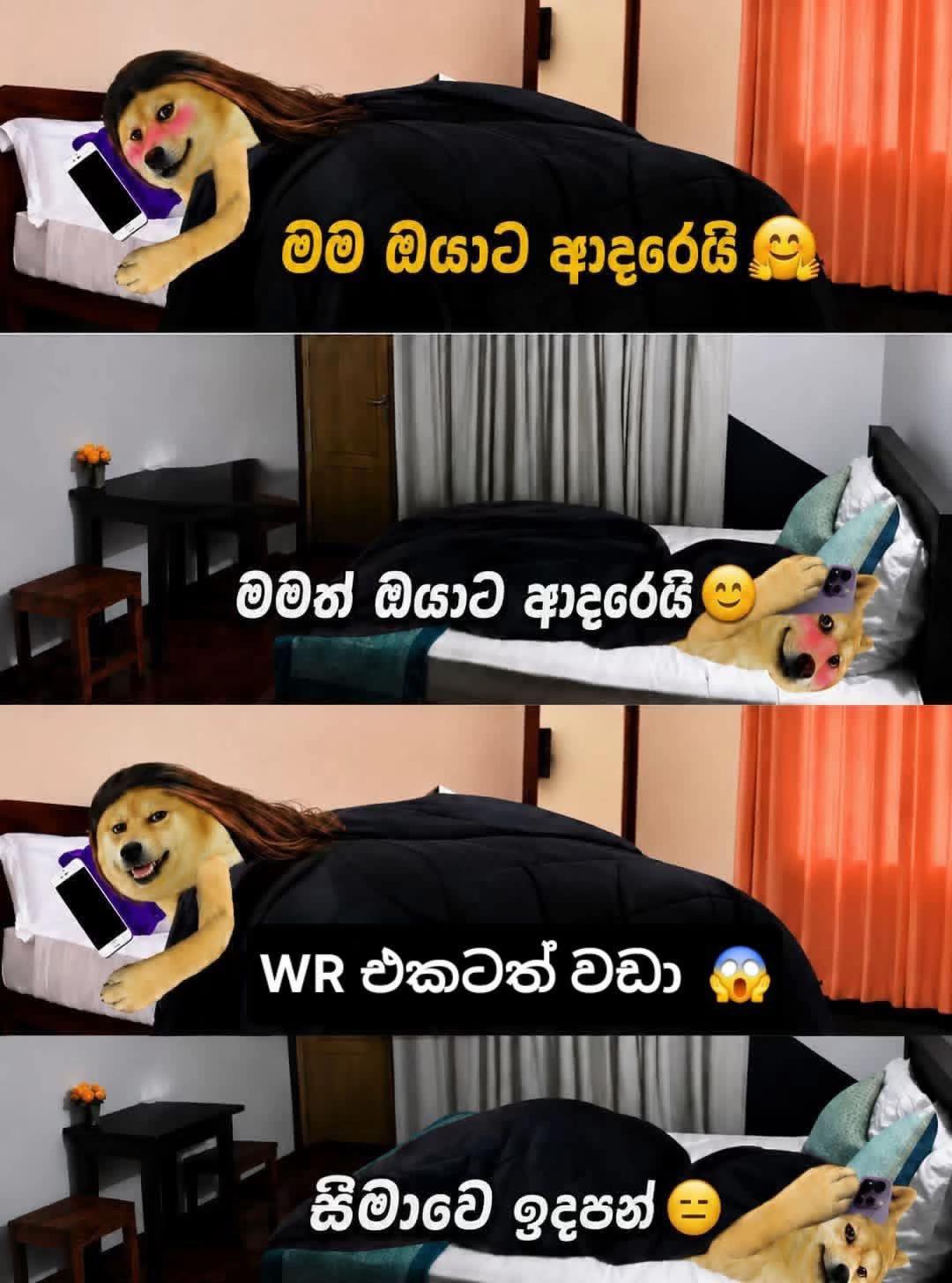 @👅පැලේ ❤️🫀3/24 🔐🫴