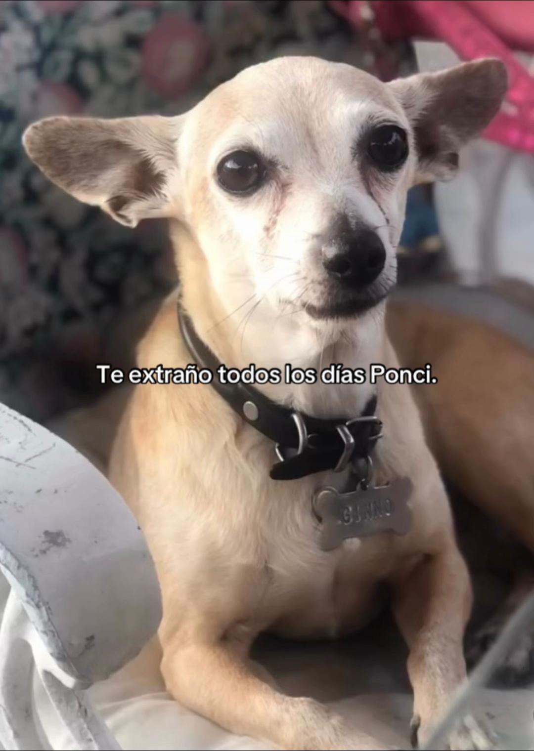 @Lore Corichi