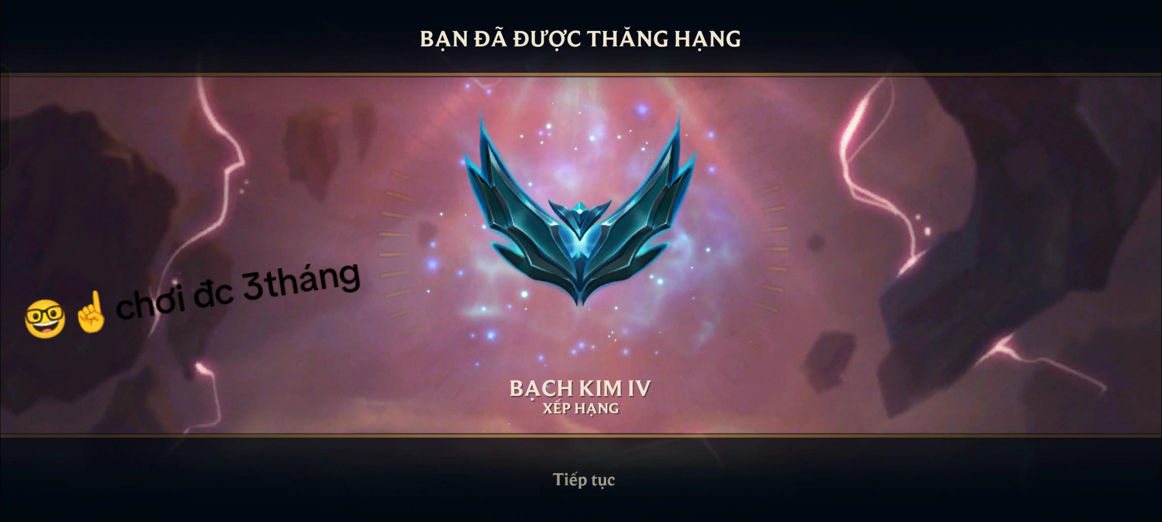 @con mèo biến thái mất 2hòn dái