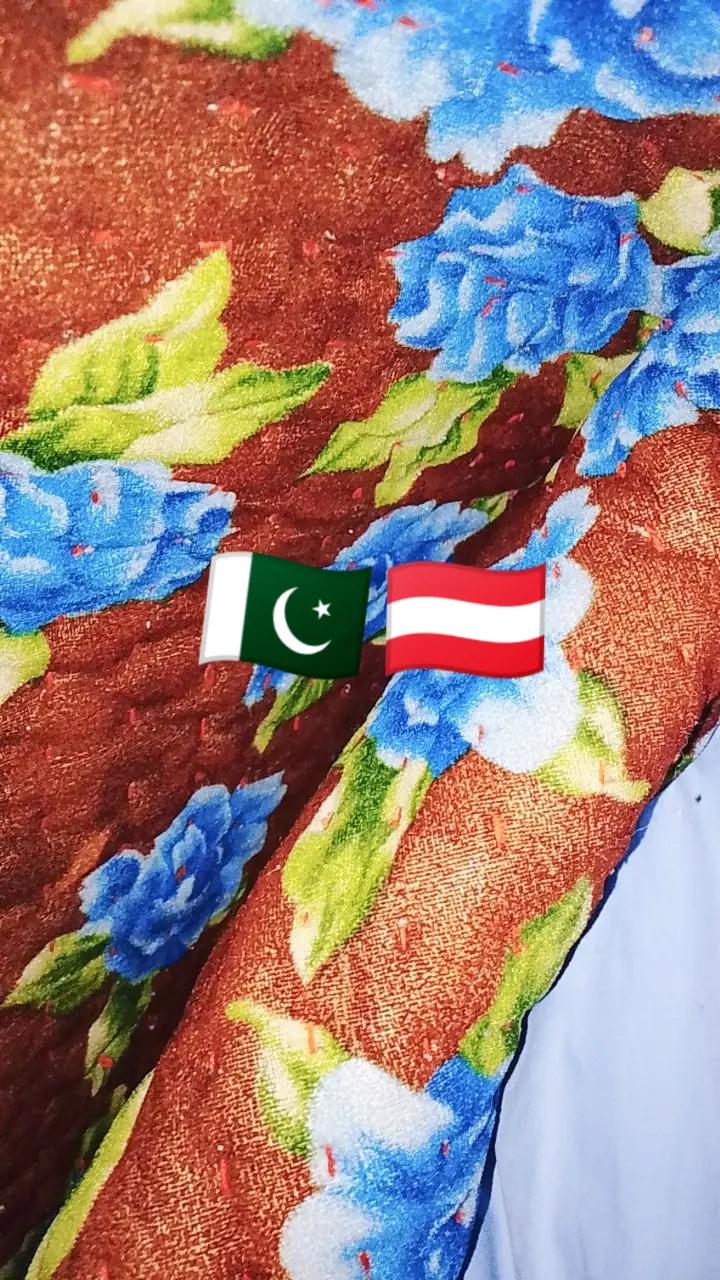 @Faiza Ali