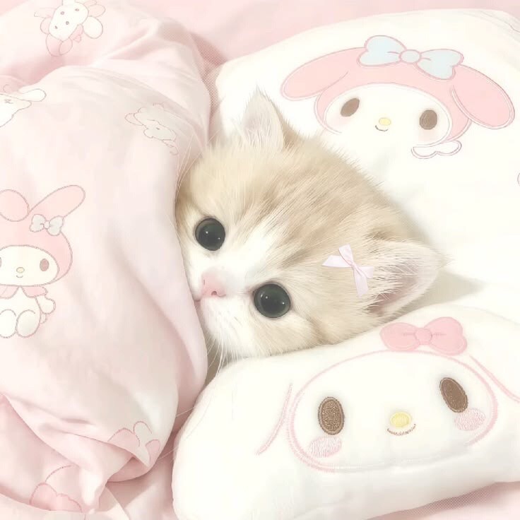 @Mina.