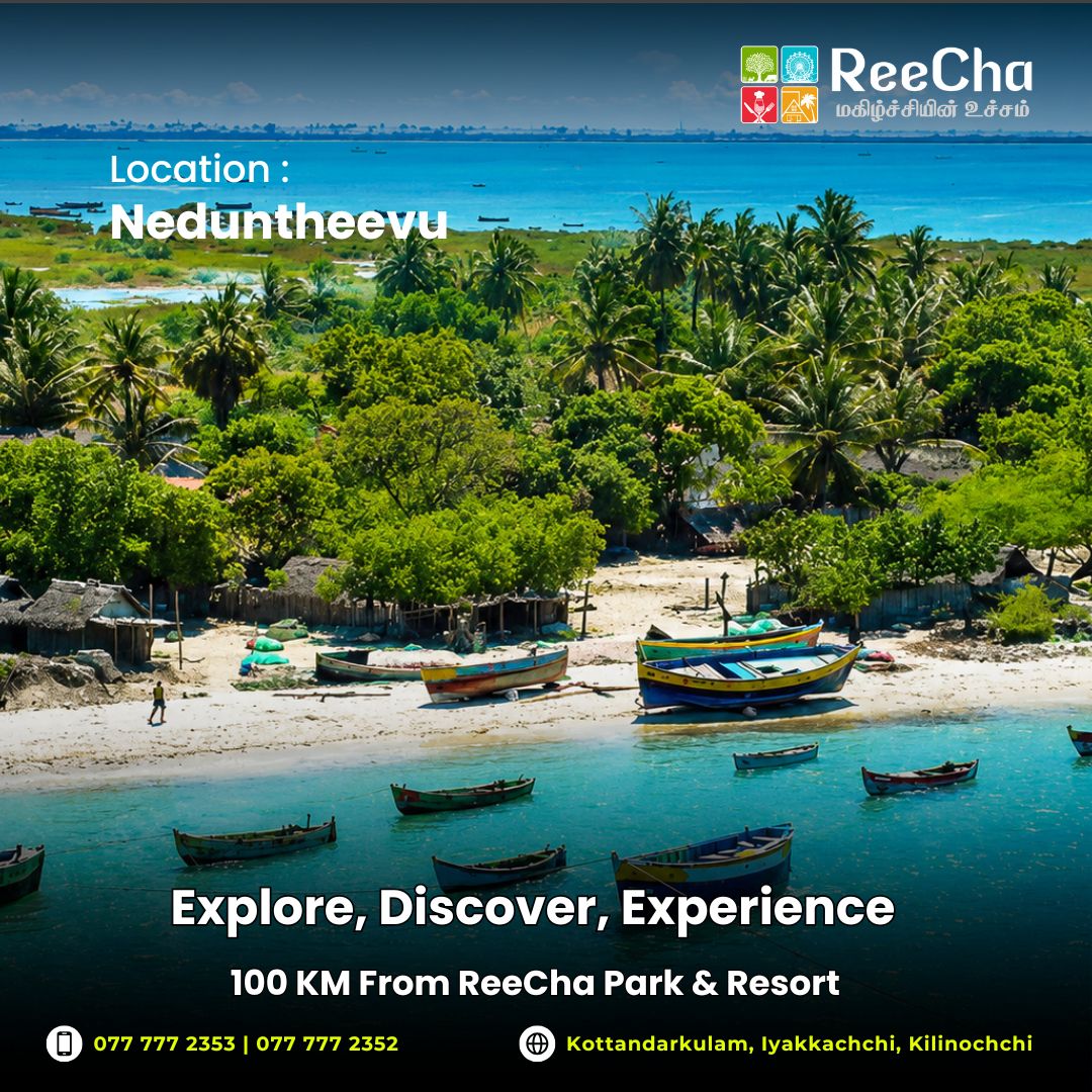 @ReeCha Park & Resort