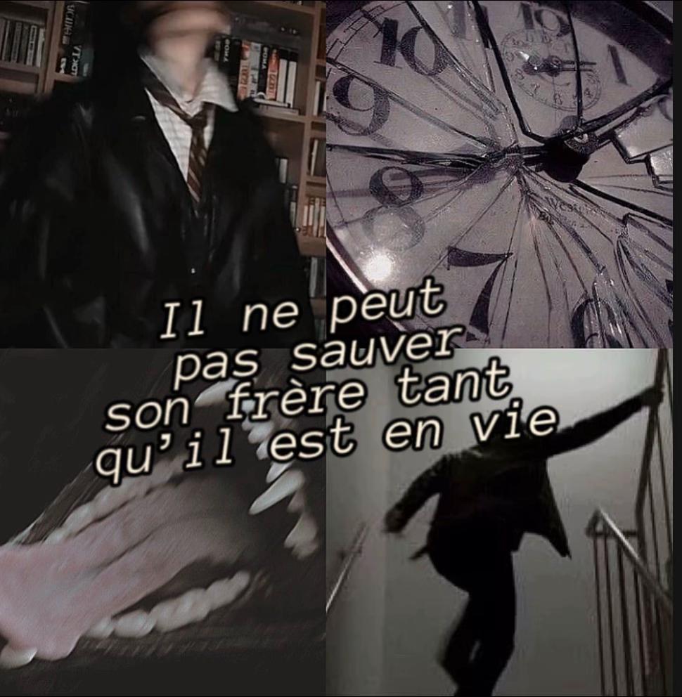 @✨Regulus✨