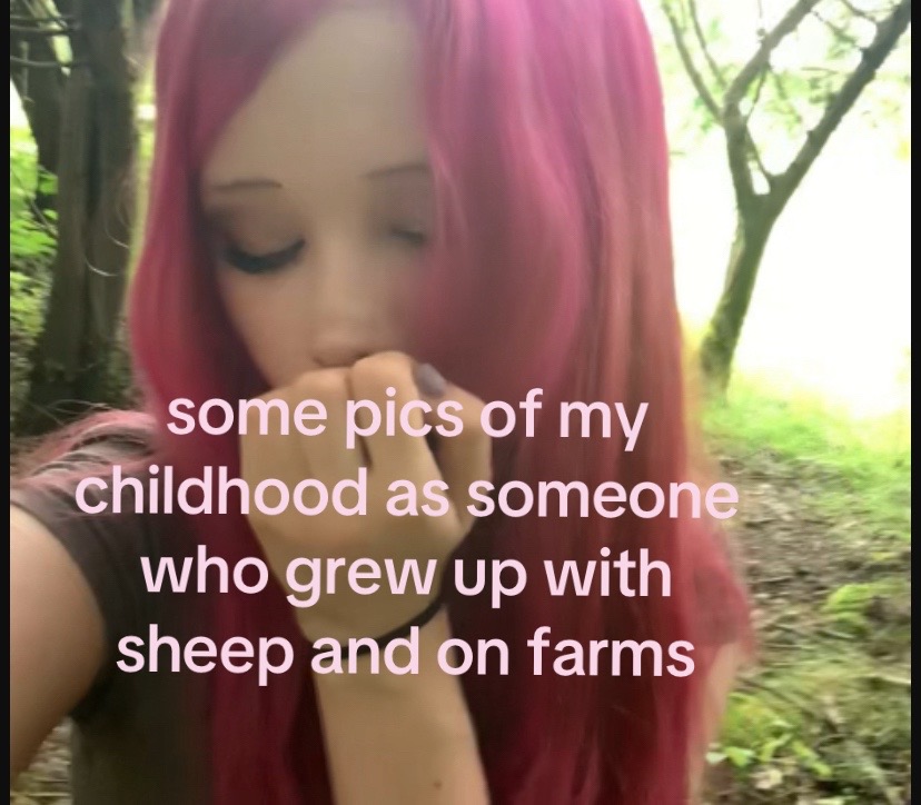 @bee