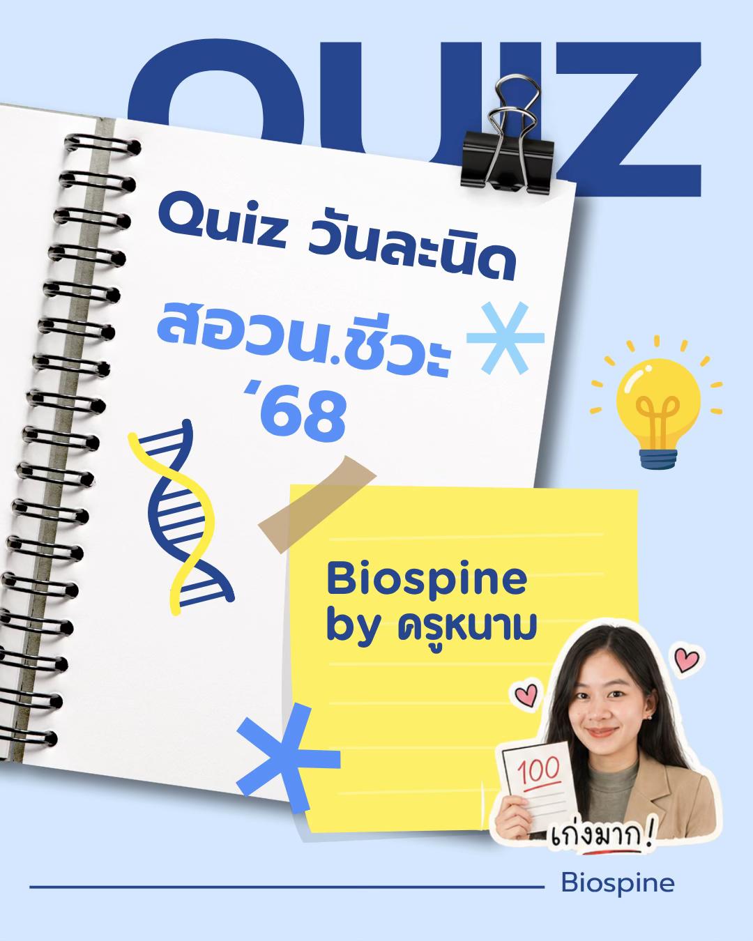 @Biospine by ครูหนาม