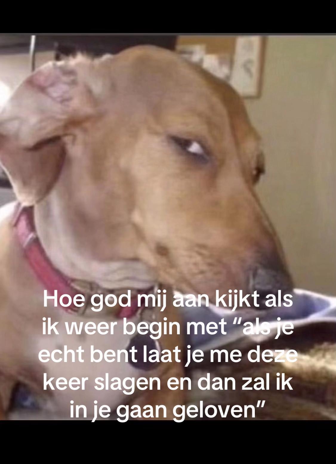 @🆗