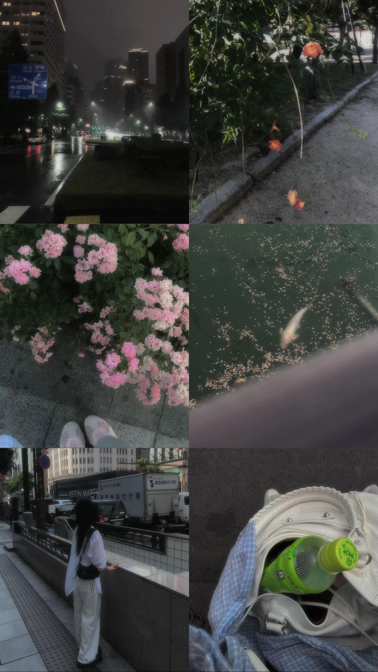 @베리 ベリ🪄