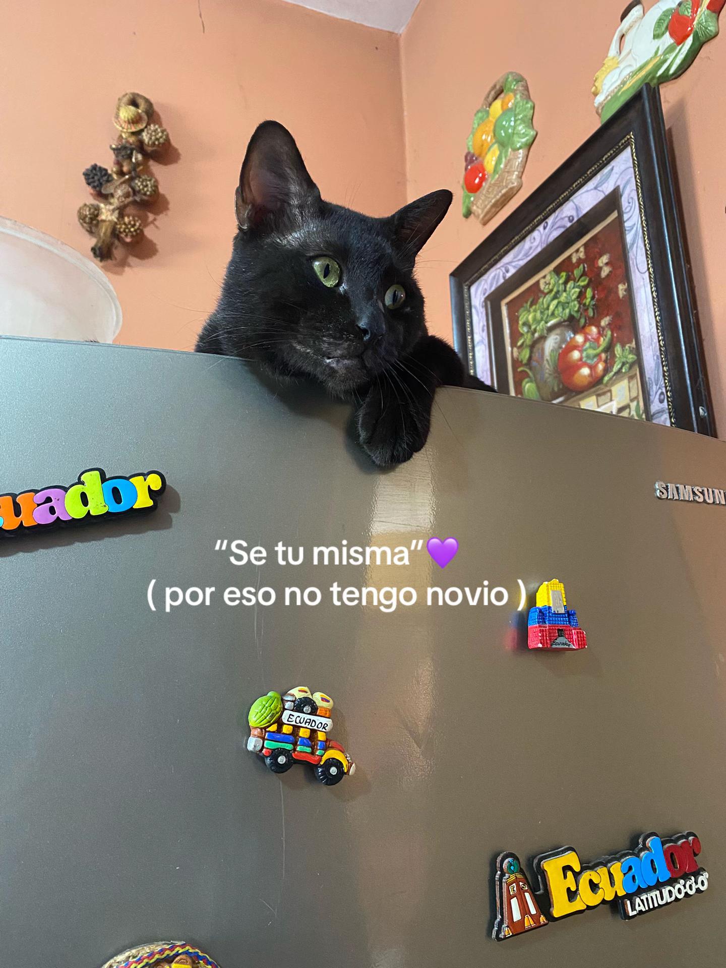 @✨