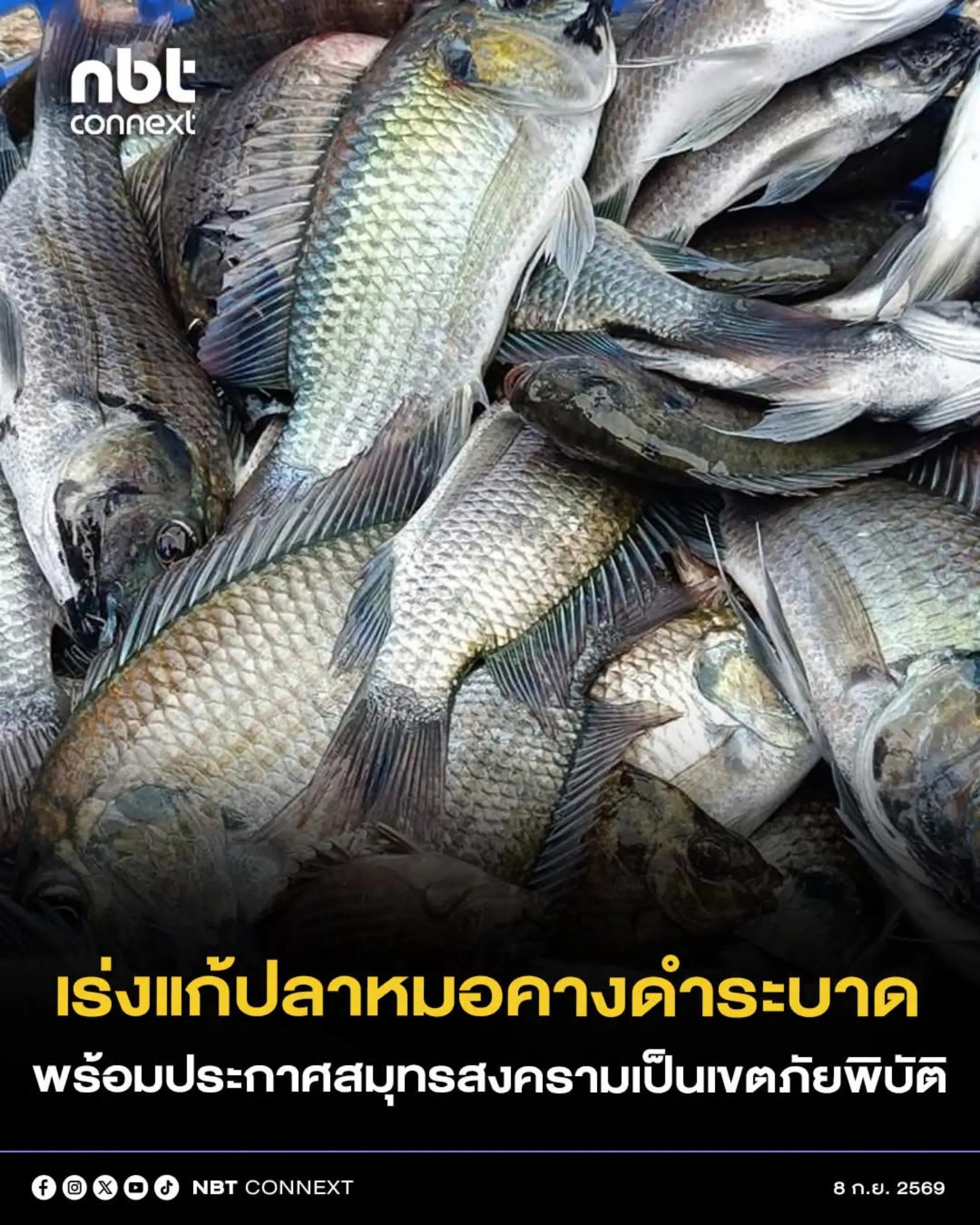 @&deg; หมานิ้ง &deg;