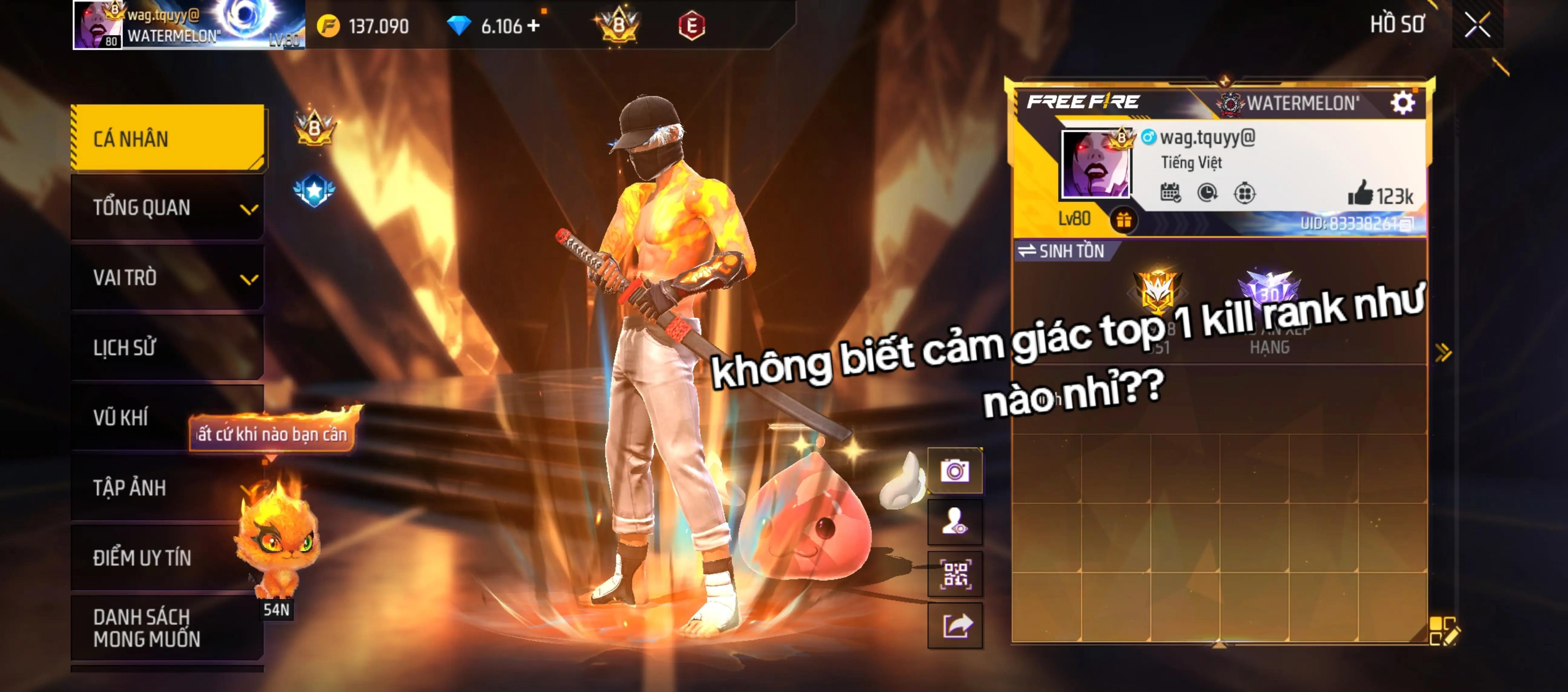@Trung Quý
