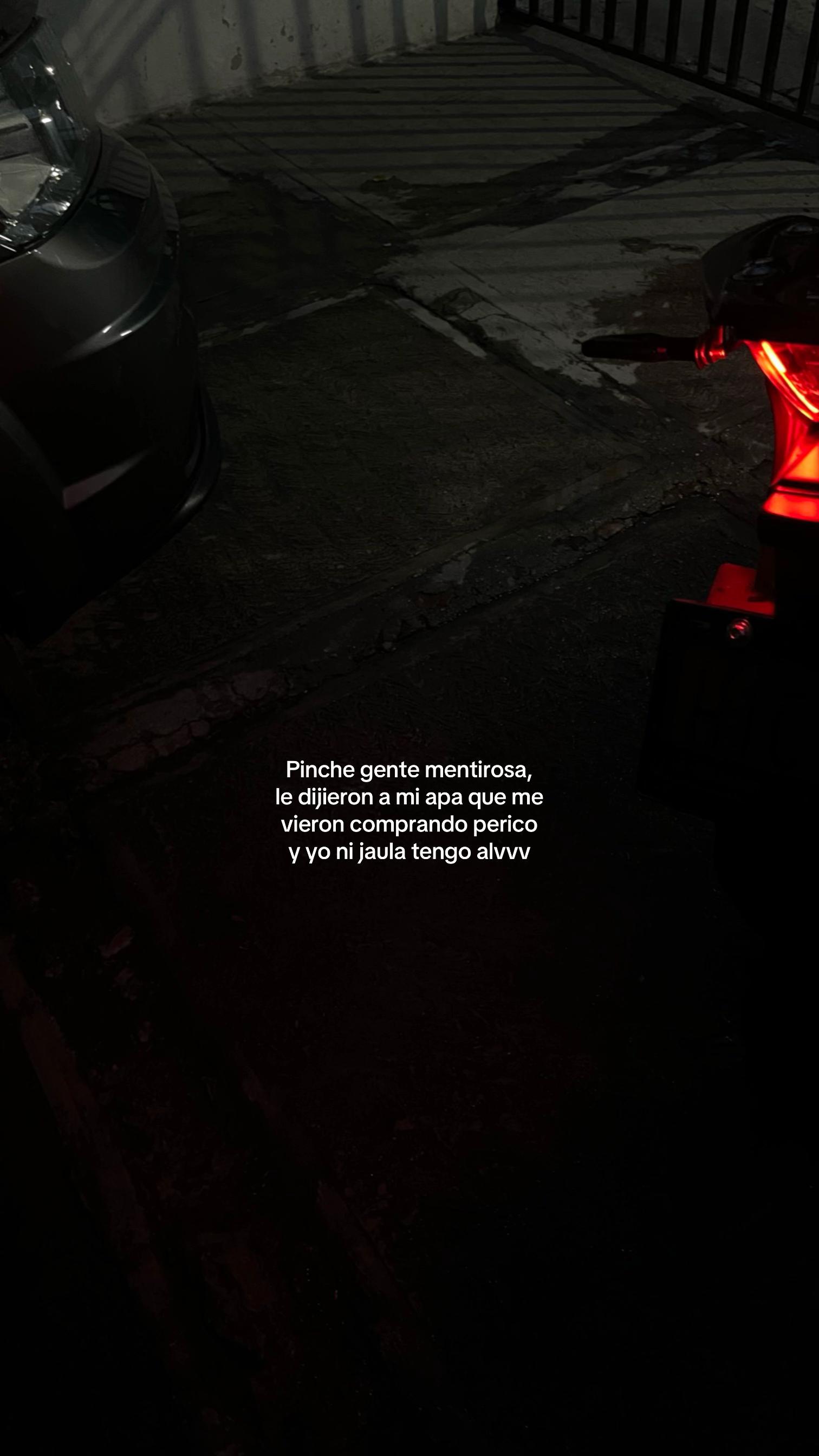 @Pollito_conpapasjaja
