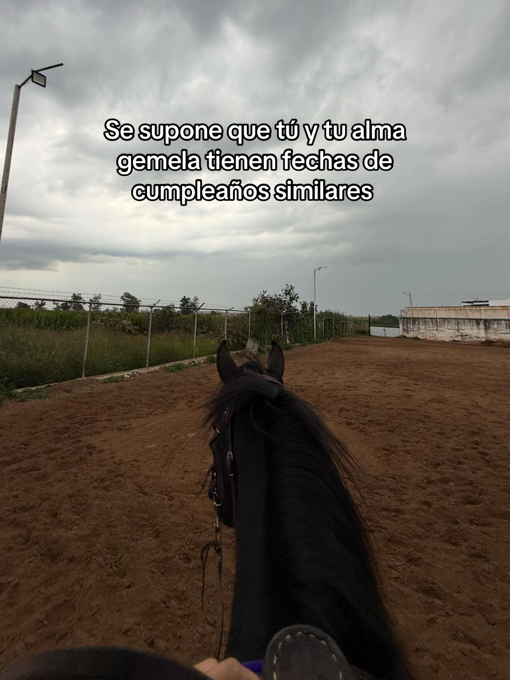 @Maria Malibran