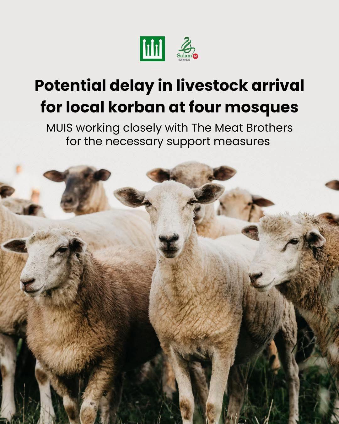 @The Muslim Diary