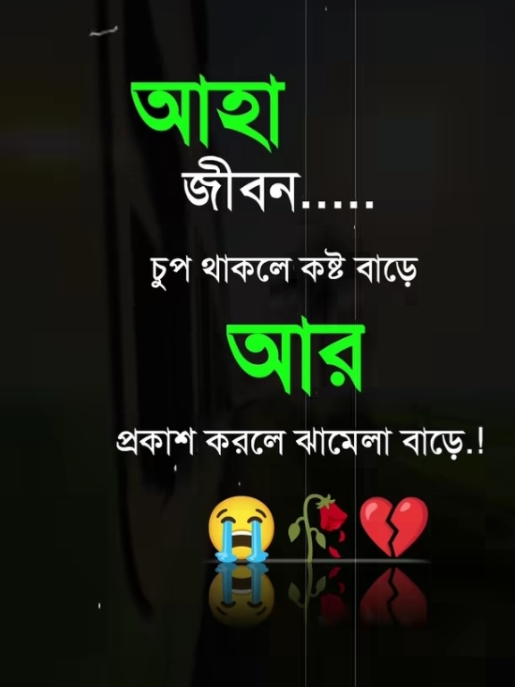 @❤️Rakib Biswas❤️