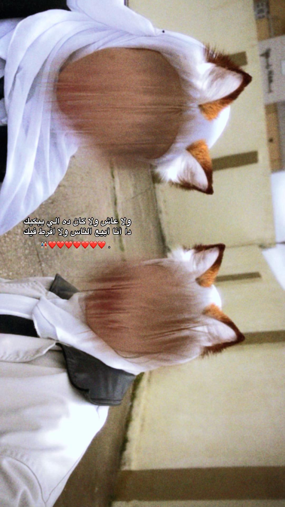 @﮼غَسق،بن،حسين؟⚜️.