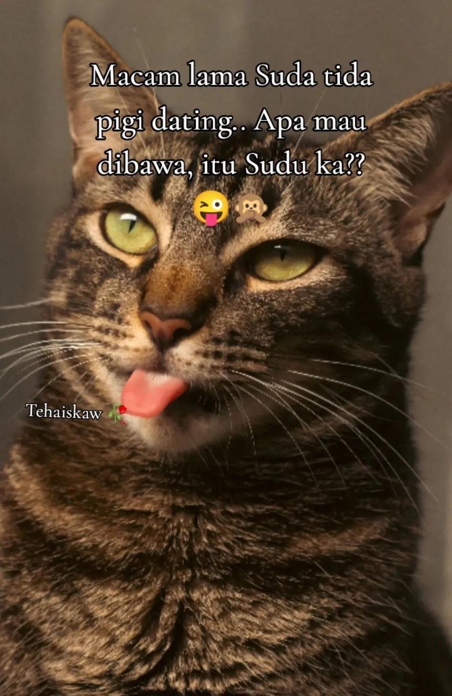 @🎀TehAisKaw🎀