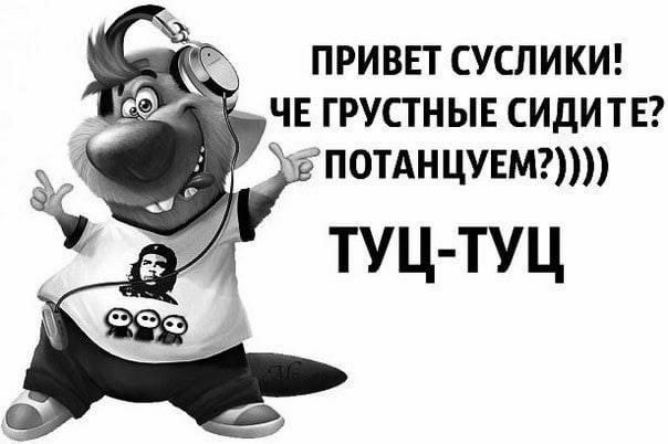 @pudelidze